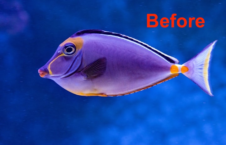 Before treatment